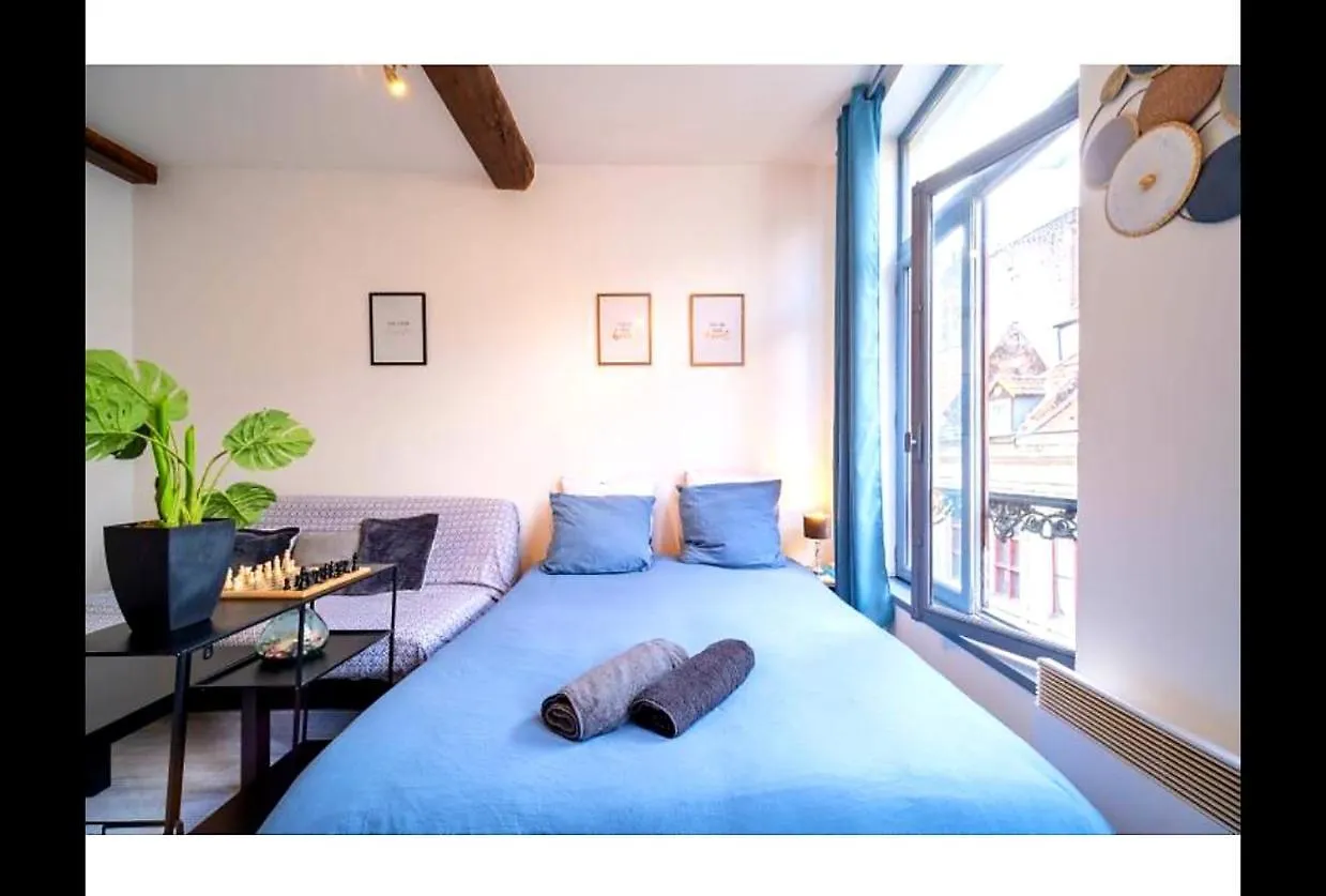 Appartement La Belle Niche à Lille