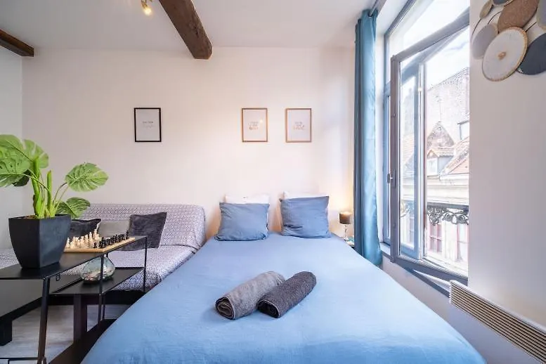 Appartement La Belle Niche à Lille France