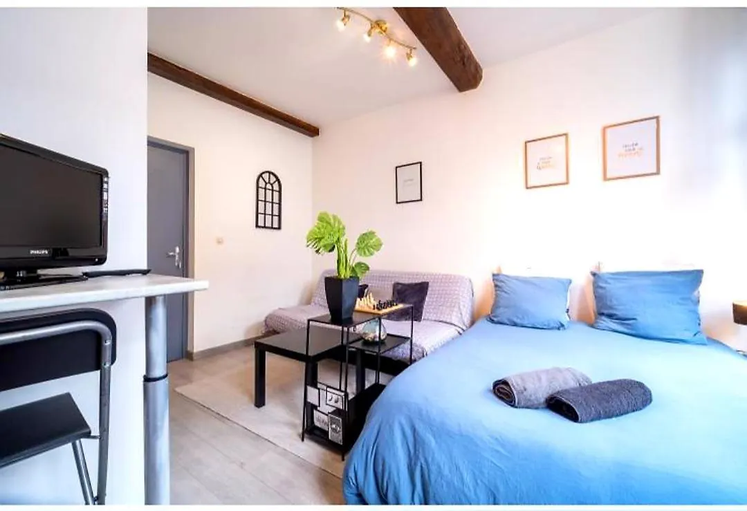 Appartement La Belle Niche à Lille France
